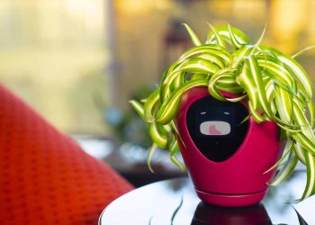 Pot Pintar Bernama Lua