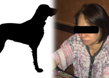 Wanita Bawa Anjing Masjid