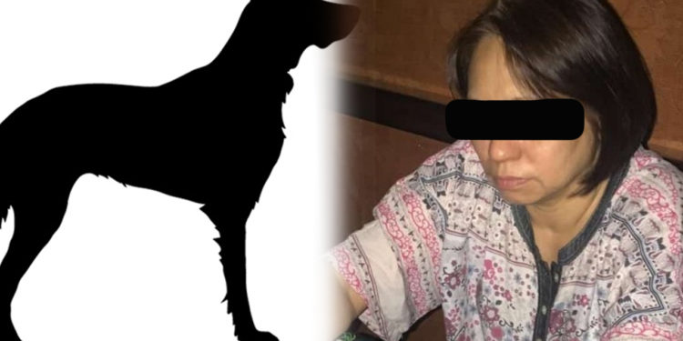 Wanita Bawa Anjing Masjid