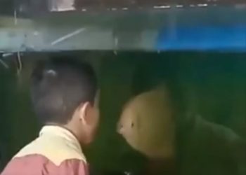 Adu Mulut dengan Ikan, Aksi Kocak Bocah Ini Ngakak Bikin Viral