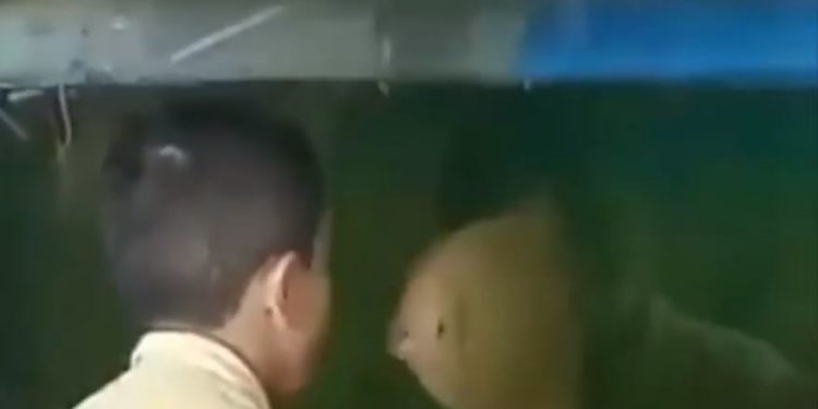 Adu Mulut dengan Ikan, Aksi Kocak Bocah Ini Ngakak Bikin Viral