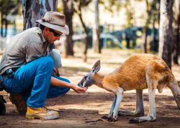 Panduan Berwisata ke Australia