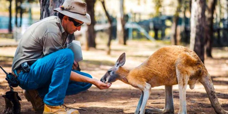 Panduan Berwisata ke Australia