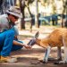 Panduan Berwisata ke Australia