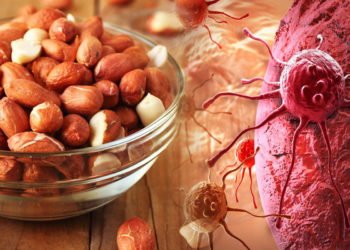 Makanan Pencegah Kanker