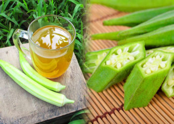 Tumbuhan Okra Penyelamat Diabetes