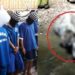 Gadis Remaja Dibunuh Karung