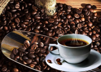 Ragam Kopi Unik Dunia