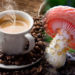 Kopi Jamur Yang Nikmat