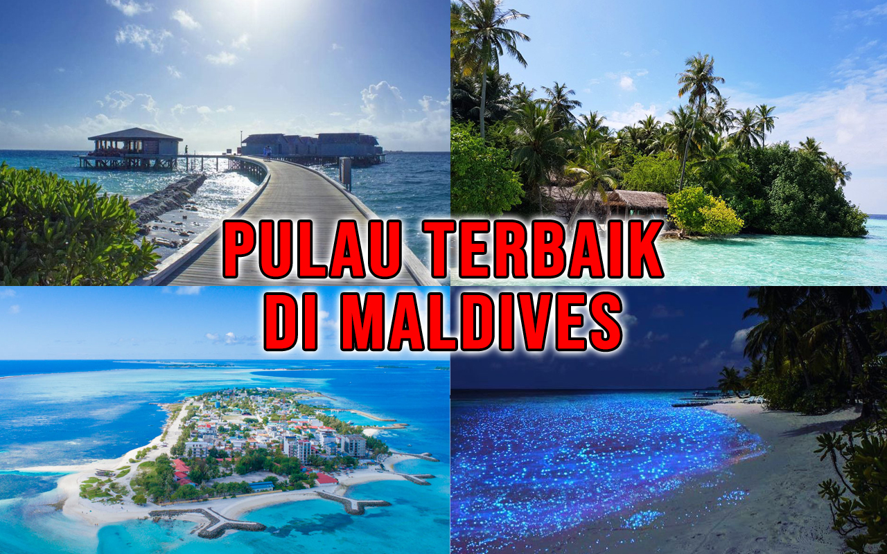travel liburan ke maldives