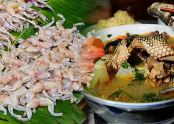 Kuliner Ekstrem China