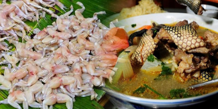 Kuliner Ekstrem China