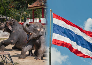 Liburan Seru Di Thailand