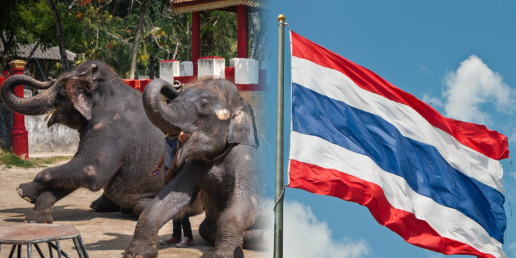 Liburan Seru Di Thailand