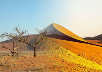 Fenomena Lingkaran Gurun UFO