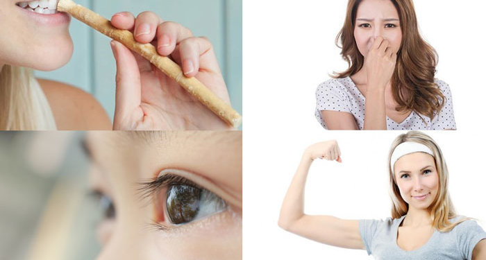 Bersiwak Terapi Memelihara Gigi