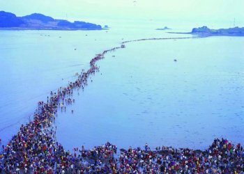 Jindo Modo Korea Selatan