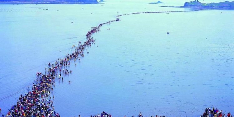 Jindo Modo Korea Selatan