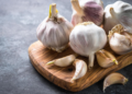 menanam bawang putih