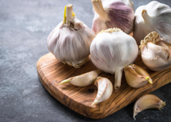 menanam bawang putih