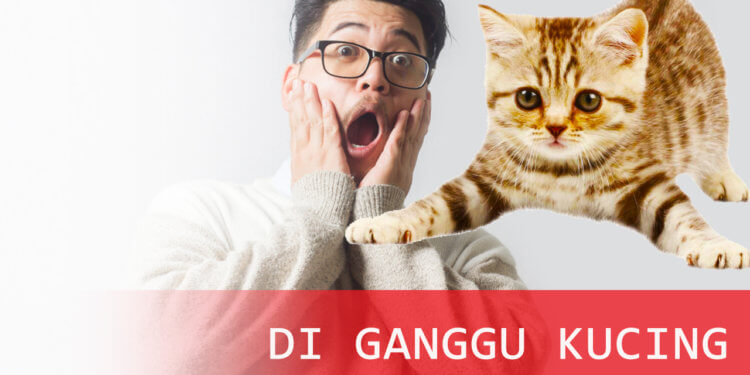  Diganggu  Kucing  Saat Hendak PUP Akhirnya Gagal 