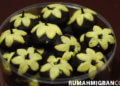 resep nastar