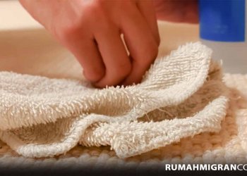 Menghilangkan Noda Pada Karpet