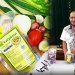 Pengusaha Bumbu Instan Dapur