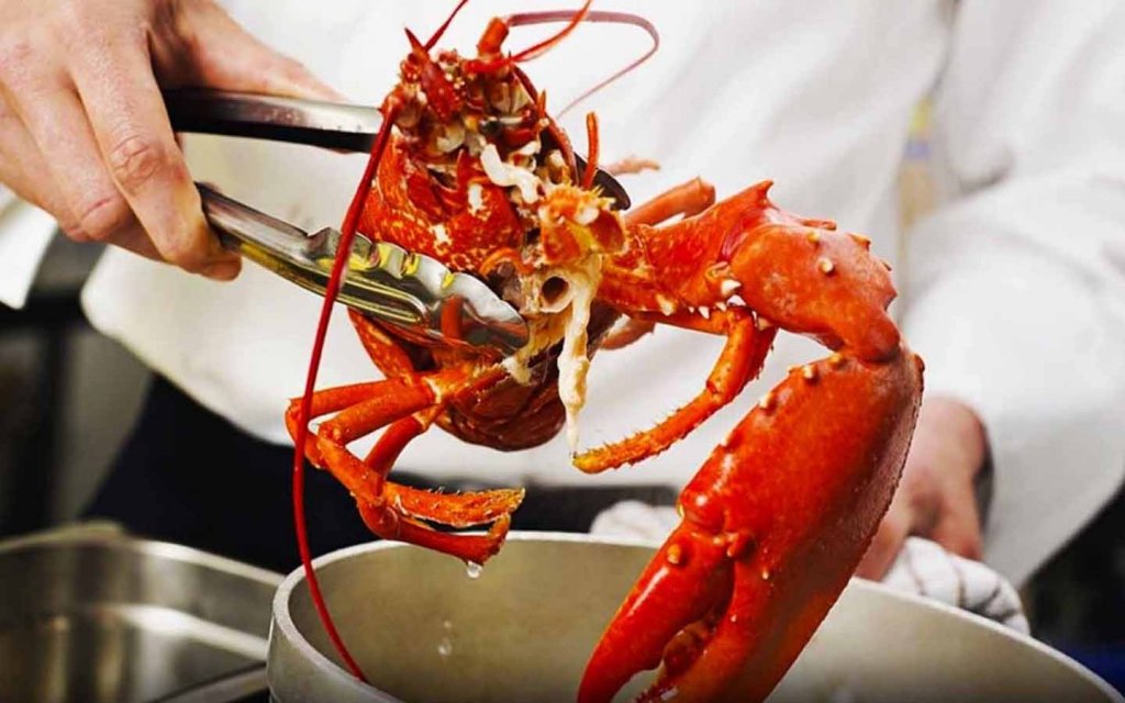Cara Mengolah Lobster