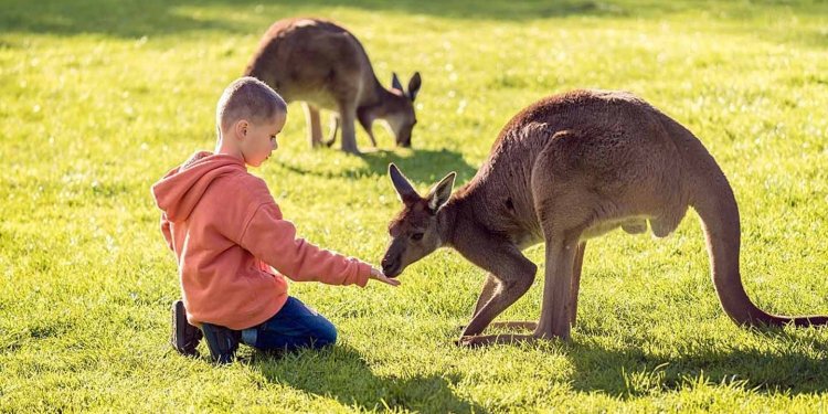 Wisata Top Di Australia