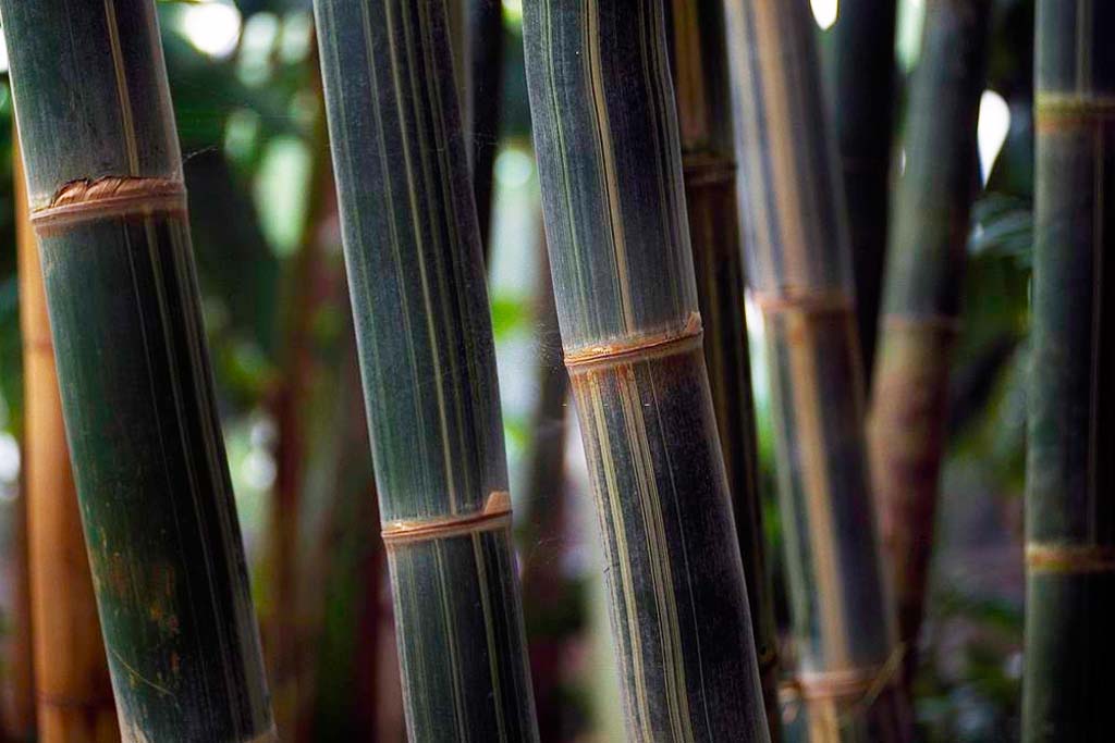 Cara Membuat Kursi Bambu