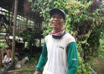 PMI menjadi transmigran