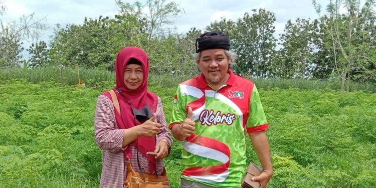 Sempat Kontroversial, Pengusaha Kelor Omzet Miliaran Ini Sekarang Tuai Banyak Pujian