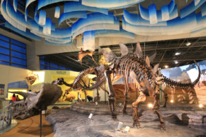 Wisata Menarik di Korea Selatan