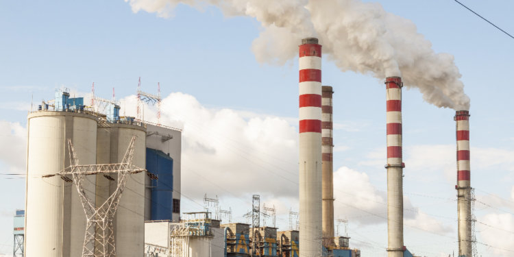 Cerita TKI di Pabrik Polandia: Gaji Fantastis dengan Sistem Kerja Efisien